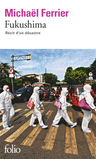 Couverture du Livre Fukushima. Récit d'un désastre - Michael Ferrier